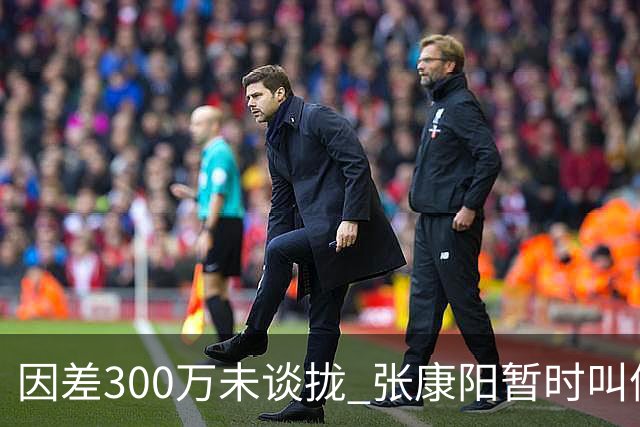 因差300万未谈拢 张康阳暂时叫停卢卡库租借谈判